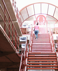 Protocolo para el retorno a las actividades presenciales