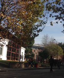 Oferta académica 1er cuatrimestre 2025
